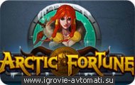   arctic fortune