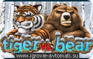   Tiger vs Bear